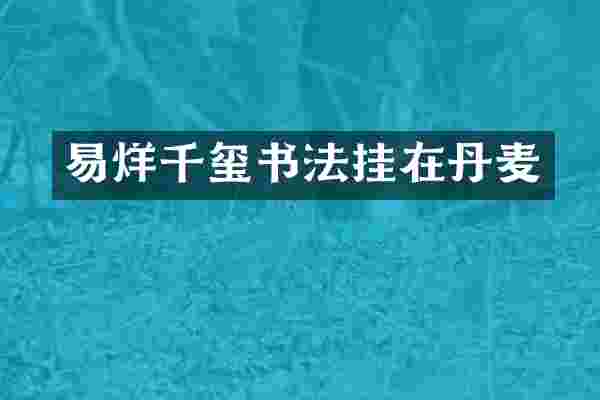 易烊千玺书法挂在丹麦