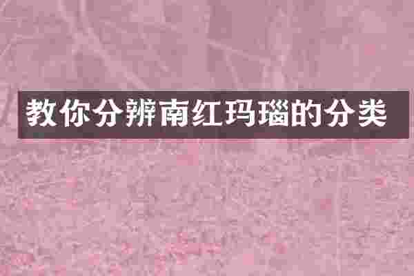 教你分辨南红玛瑙的分类