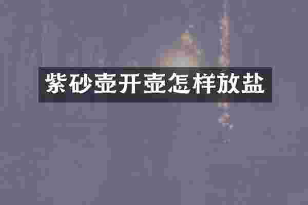 紫砂壶开壶怎样放盐