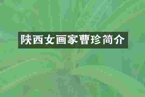 陕西女画家曹珍简介