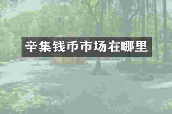 辛集钱币市场在哪里