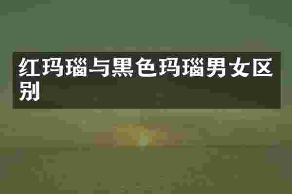 红玛瑙与黑色玛瑙男女区别