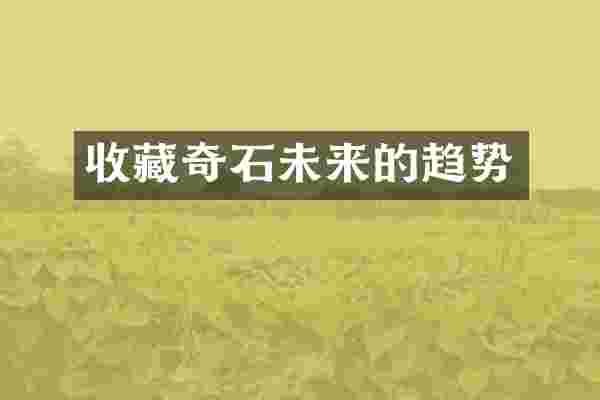 收藏奇石未来的趋势