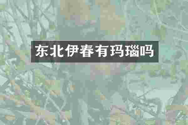 东北伊春有玛瑙吗