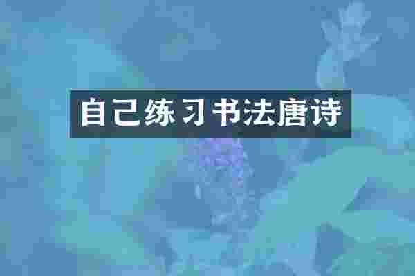 自己练习书法唐诗
