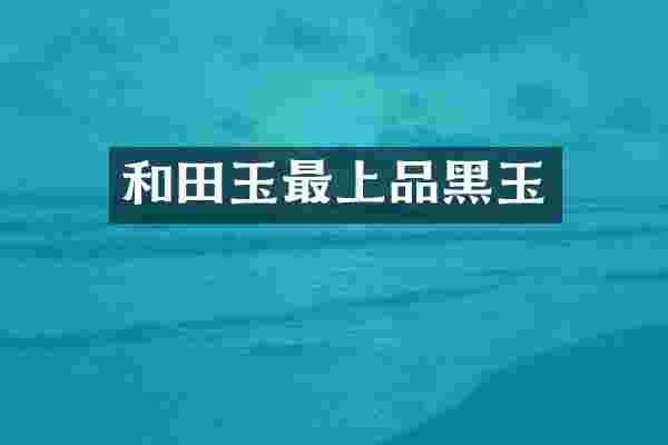 和田玉最上品黑玉