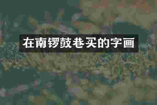 在南锣鼓巷买的字画