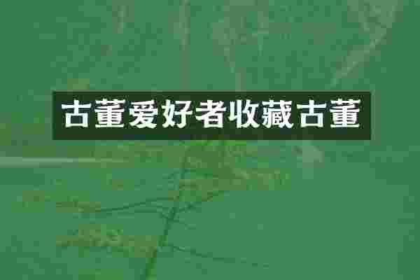古董爱好者收藏古董