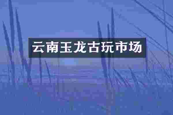 云南玉龙古玩市场