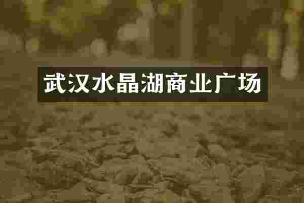 武汉水晶湖商业广场