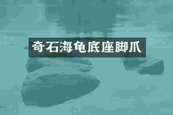 奇石海龟底座脚爪