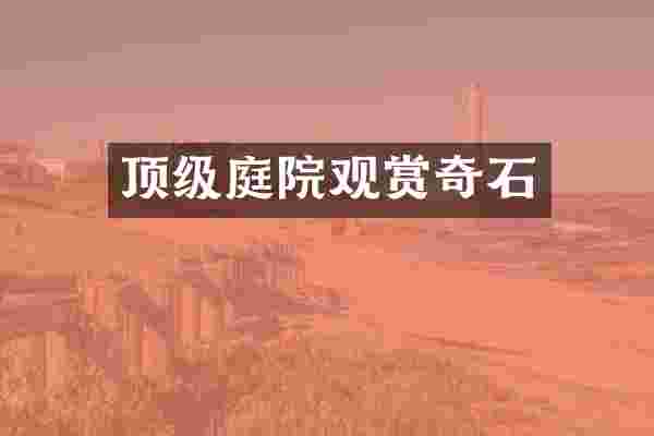 顶级庭院观赏奇石