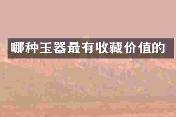 哪种玉器最有收藏价值的