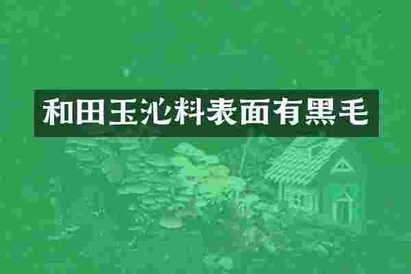 和田玉沁料表面有黑毛