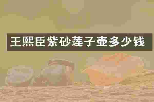 王熙臣紫砂莲子壶多少钱