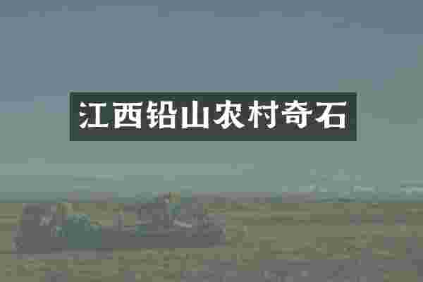江西铅山农村奇石