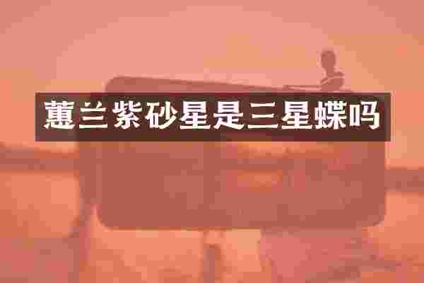 蕙兰紫砂星是三星蝶吗