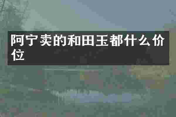 阿宁卖的和田玉都什么价位