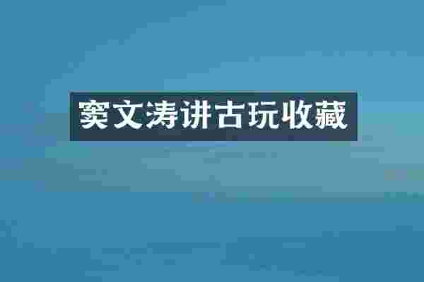 窦文涛讲古玩收藏