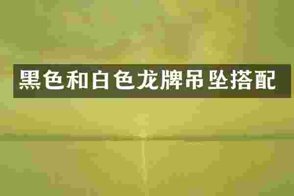 黑色和白色龙牌吊坠搭配