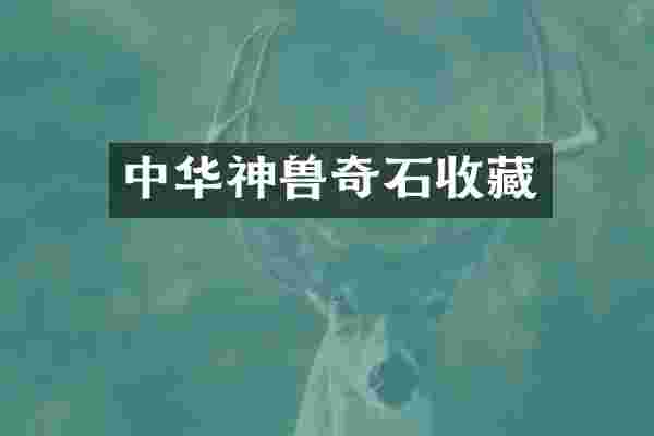 中华神兽奇石收藏