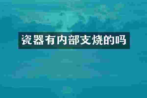瓷器有内部支烧的吗