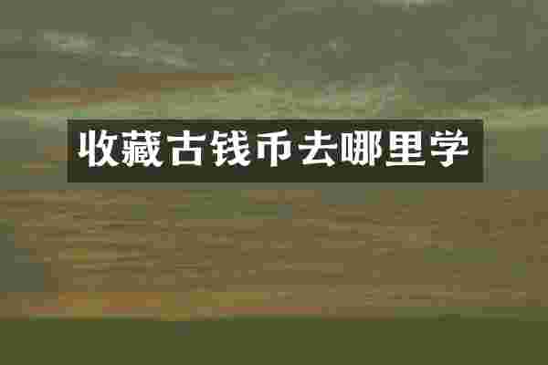 收藏古钱币去哪里学