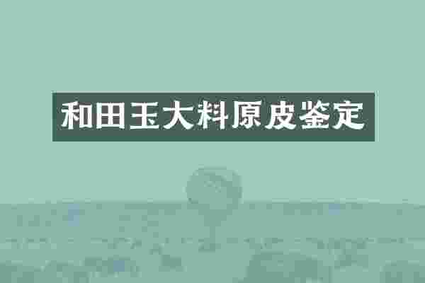 和田玉大料原皮鉴定