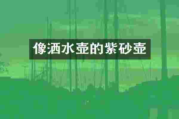 像洒水壶的紫砂壶