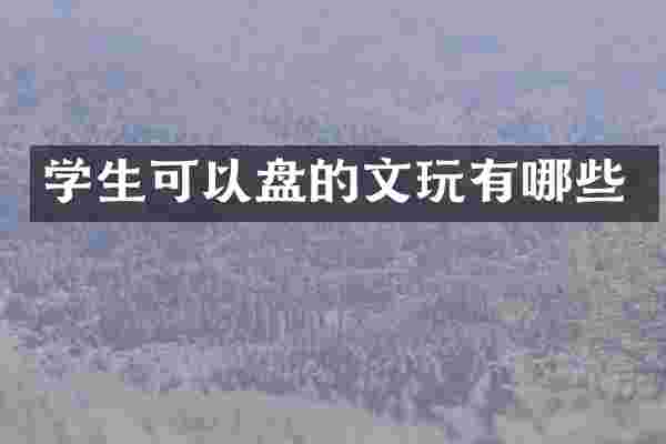 学生可以盘的文玩有哪些