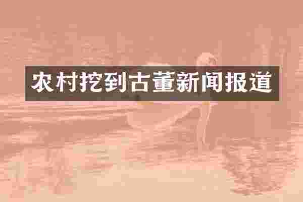 农村挖到古董新闻报道