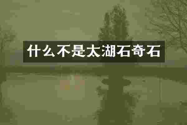 什么不是太湖石奇石