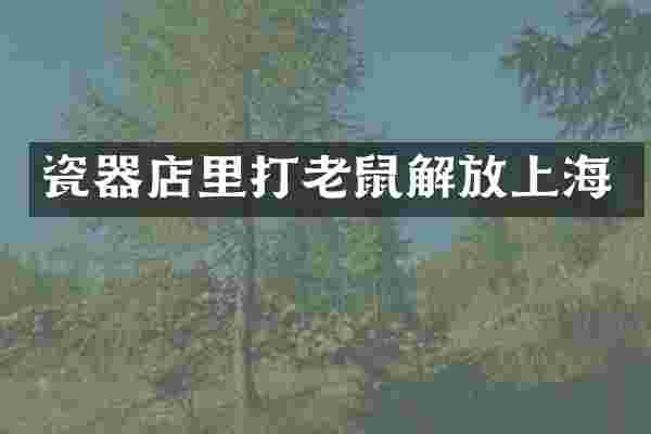 瓷器店里打老鼠解放上海
