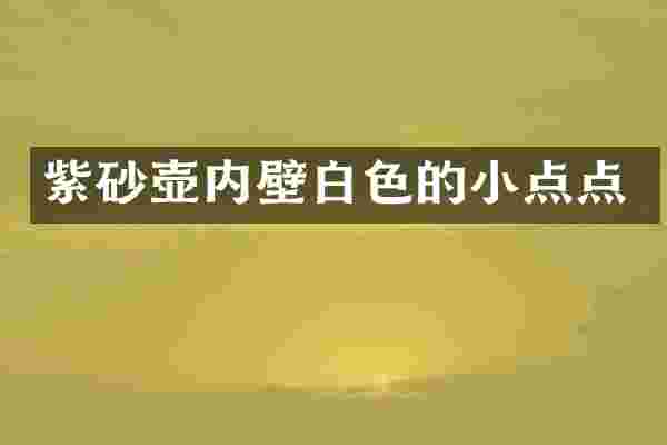 紫砂壶内壁白色的小点点