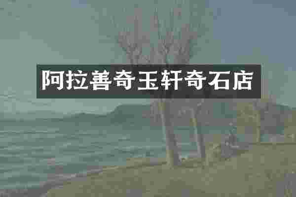 阿拉善奇玉轩奇石店