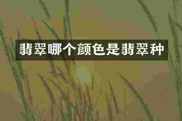 翡翠哪个颜色是翡翠种