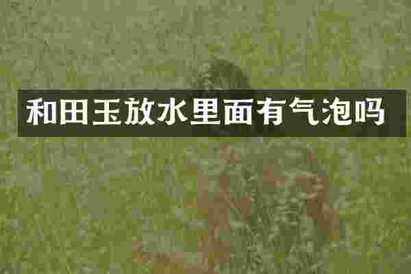 和田玉放水里面有气泡吗