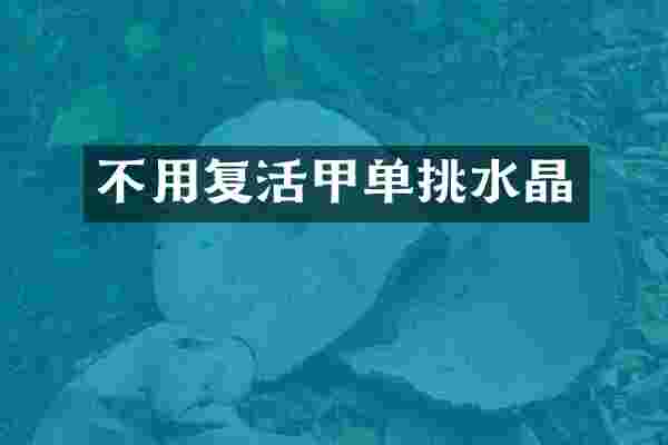 不用复活甲单挑水晶