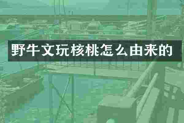 野牛文玩核桃怎么由来的