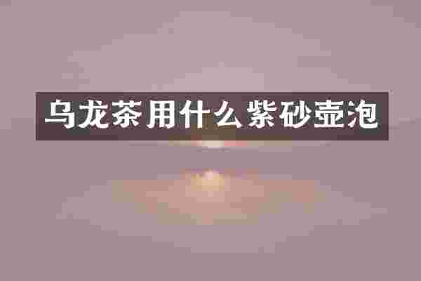 乌龙茶用什么紫砂壶泡