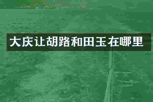 大庆让胡路和田玉在哪里