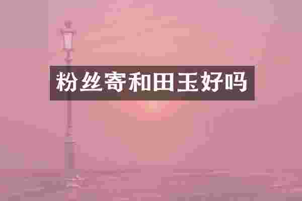 粉丝寄和田玉好吗