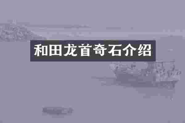和田龙首奇石介绍
