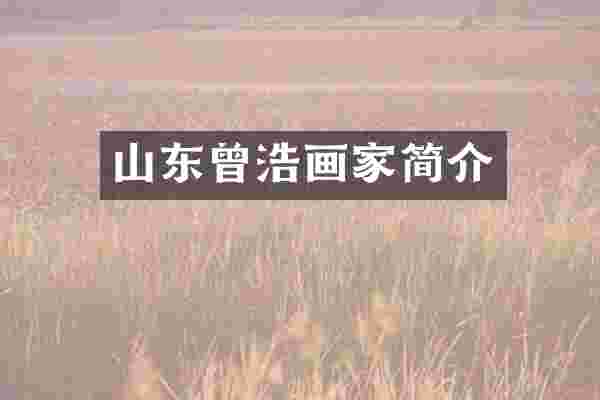 山东曾浩画家简介