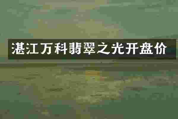 湛江万科翡翠之光开盘价