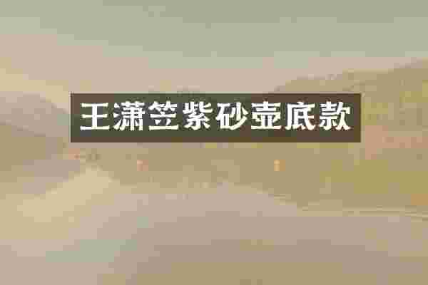 王潇笠紫砂壶底款