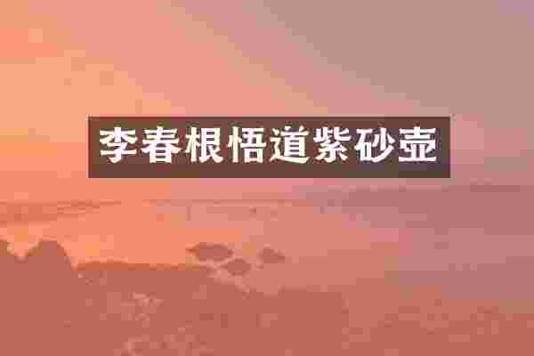 李春根悟道紫砂壶