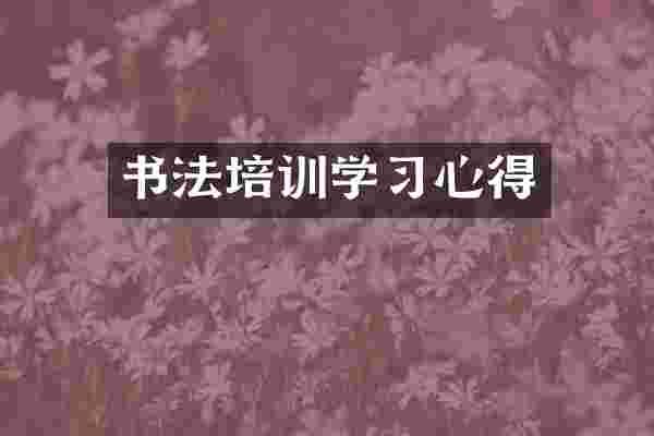 书法培训学习心得