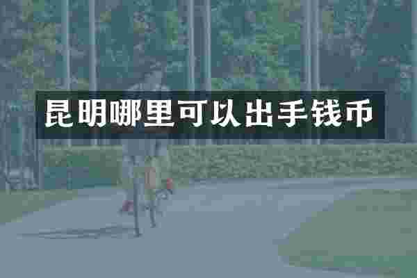 昆明哪里可以出手钱币