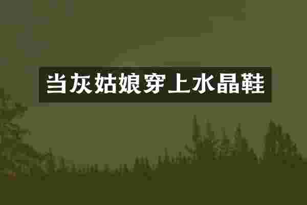 当灰姑娘穿上水晶鞋